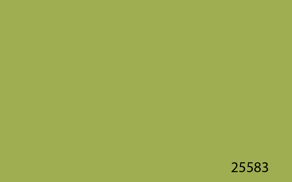 Väri 25583